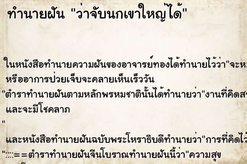 ทำนายฝันว่าจับนกเขาใหญ่ได้ ทำนายฝันทำนายฝันว่าจับนกเขาใหญ่ได้