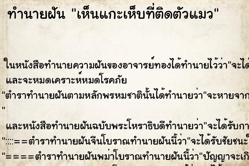 ทำนายฝันทำนายฝันเห็นแกะเห็บที่ติดตัวแมว