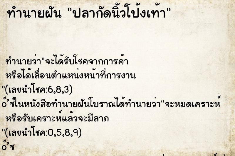 ทำนายฝันทำนายฝันปลากัดนิ้วโป้งเท้า