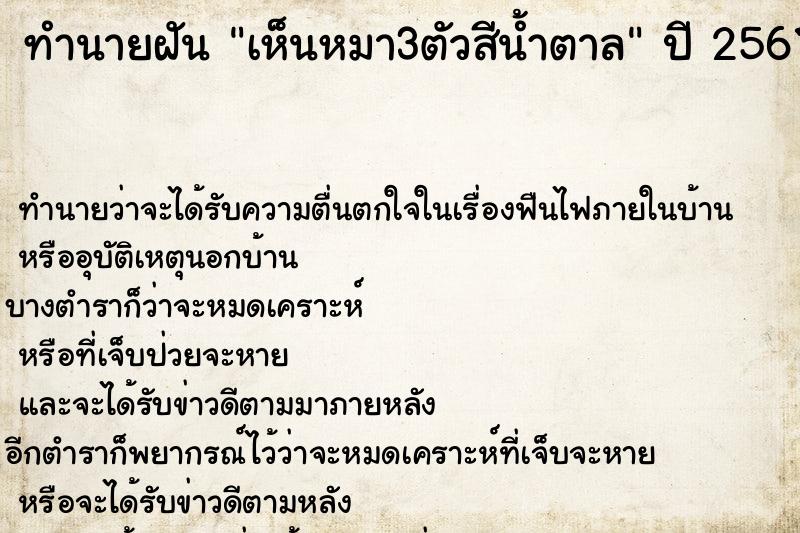 ทำนายฝัน เห็นหมา3ตัวสีน้ำตาล
