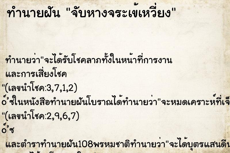 ทำนายฝันจับหางจระเข้เหวี่ยง ทำนายฝันทำนายฝันจับหางจระเข้เหวี่ยง