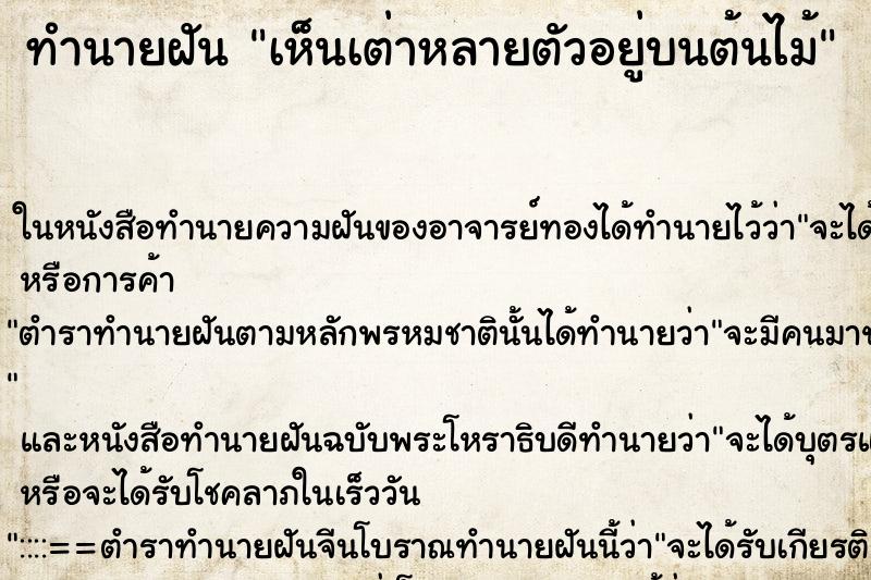 ทำนายฝัน เห็นเต่าหลายตัวอยู่บนต้นไม้ ทำนายฝัน เห็นเต่าหลายตัวอยู่บนต้นไม้