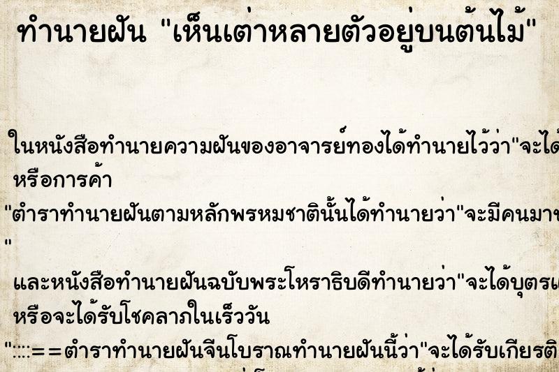 ทำนายฝัน เห็นเต่าหลายตัวอยู่บนต้นไม้ ตำราโบราณ แม่นที่สุดในโลก