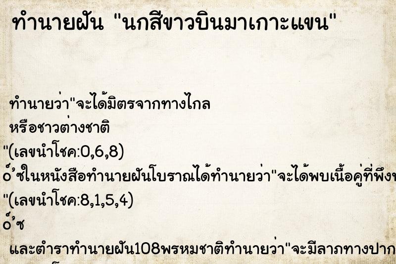 ทำนายฝัน นกสีขาวบินมาเกาะแขน ทำนายฝัน นกสีขาวบินมาเกาะแขน