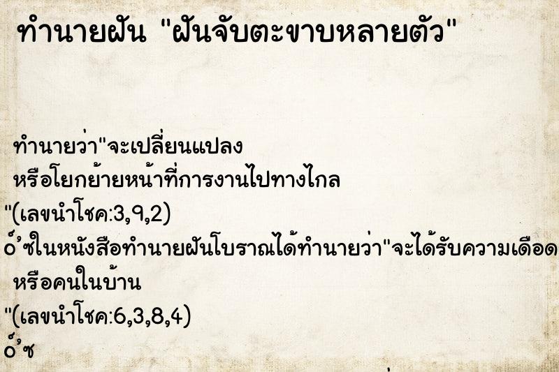 ทำนายฝันฝันจับตะขาบหลายตัว ทำนายฝันทำนายฝันฝันจับตะขาบหลายตัว