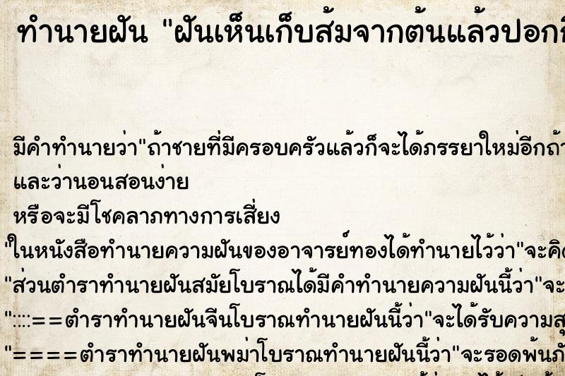 ทำนายฝันฝันเห็นเก็บส้มจากต้นแล้วปอกกิน ทำนายฝันทำนายฝันฝันเห็นเก็บส้มจากต้นแล้วปอกกิน