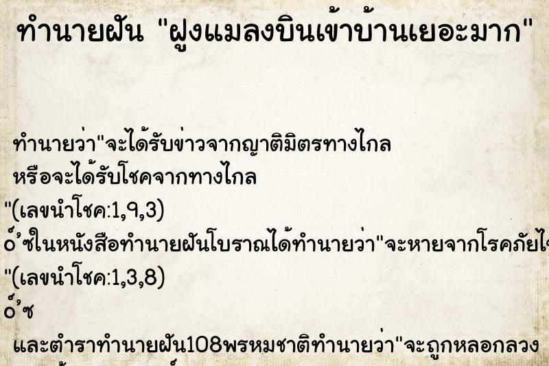 ทำนายฝัน ฝูงแมลงบินเข้าบ้านเยอะมาก ทำนายฝัน ฝูงแมลงบินเข้าบ้านเยอะมาก