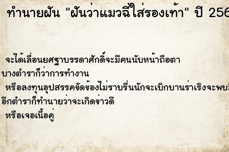 ทำนายฝันฝันว่าแมวฉี่ใส่รองเท้า ทำนายฝันทำนายฝันฝันว่าแมวฉี่ใส่รองเท้า