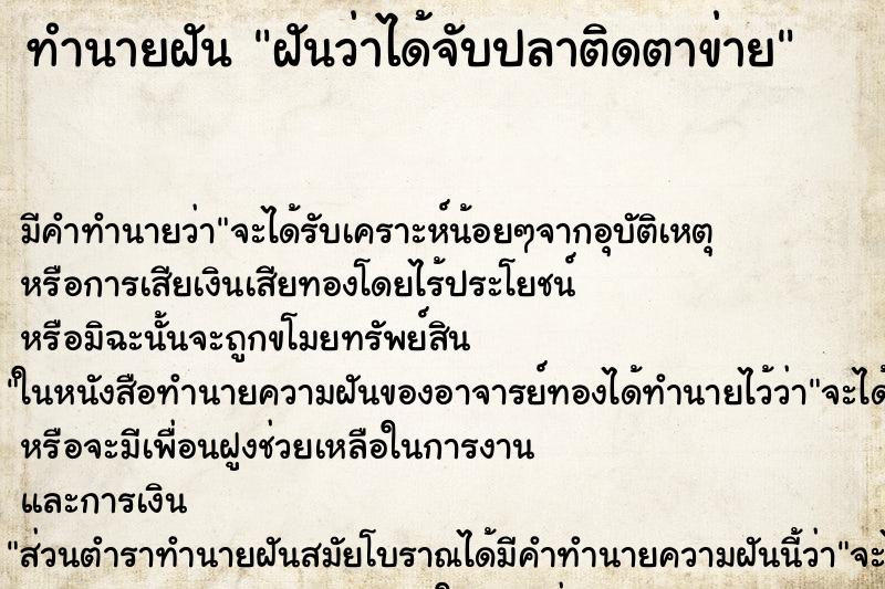 ทำนายฝัน ฝันว่าได้จับปลาติดตาข่าย ตำราโบราณ แม่นที่สุดในโลก