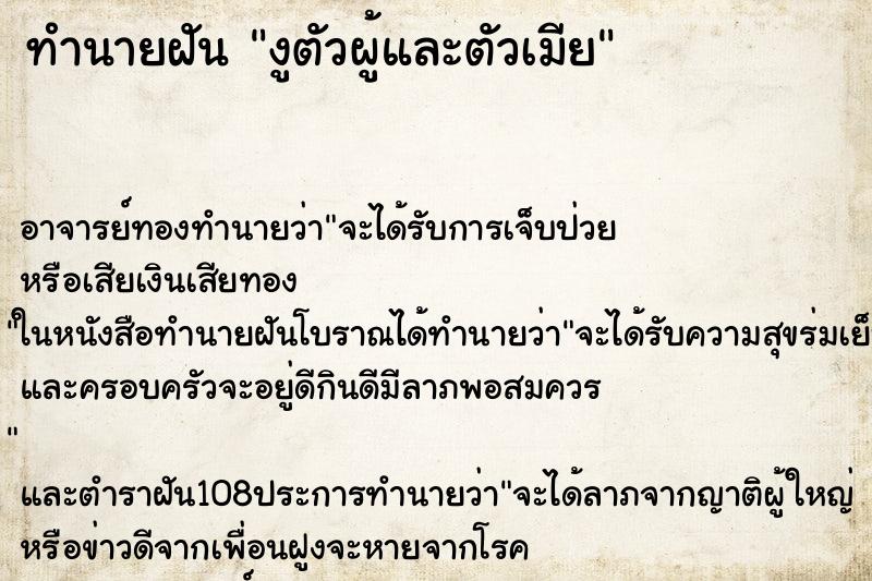 ทำนายฝันงูตัวผู้และตัวเมีย ทำนายฝันทำนายฝันงูตัวผู้และตัวเมีย