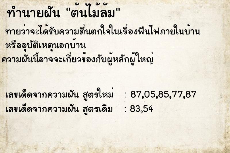 ทำนายฝันต้นไม้ล้ม ทำนายฝันทำนายฝันต้นไม้ล้ม
