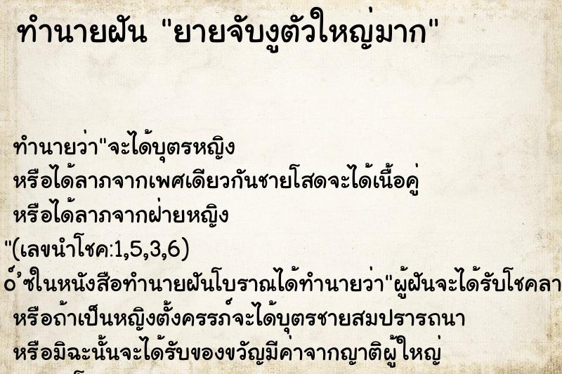 ทำนายฝันยายจับงูตัวใหญ่มาก ทำนายฝันทำนายฝันยายจับงูตัวใหญ่มาก