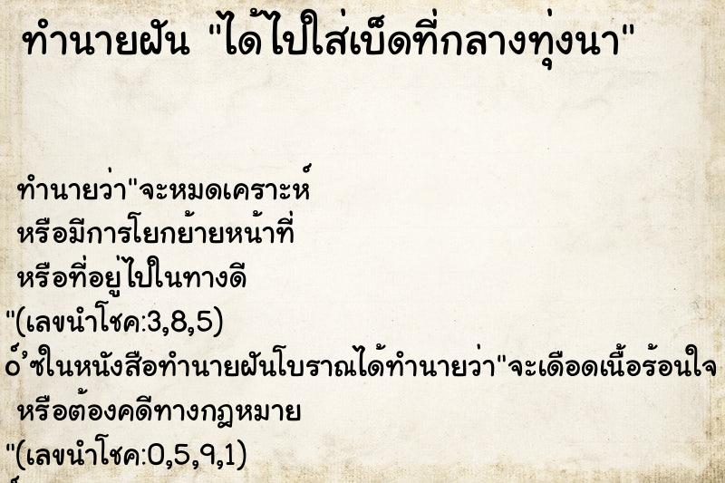 ทำนายฝัน ได้ไปใส่เบ็ดที่กลางทุ่งนา ทำนายฝัน ได้ไปใส่เบ็ดที่กลางทุ่งนา