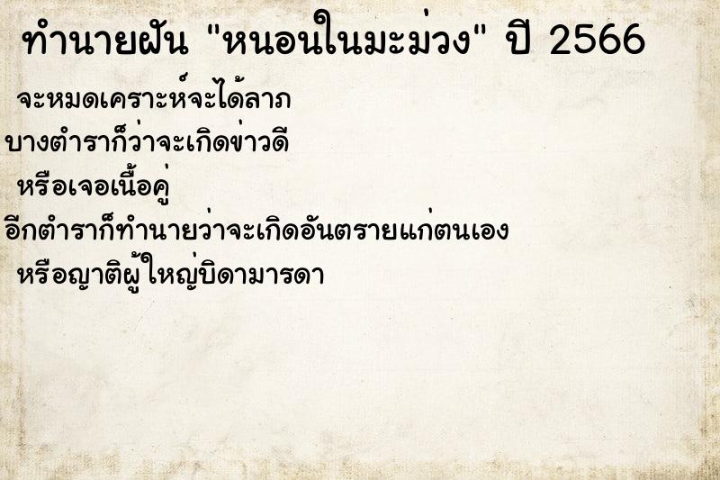 ทำนายฝัน หนอนในมะม่วง ทำนายฝัน หนอนในมะม่วง