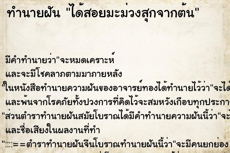 ทำนายฝัน ได้สอยมะม่วงสุกจากต้น ทำนายฝัน ได้สอยมะม่วงสุกจากต้น
