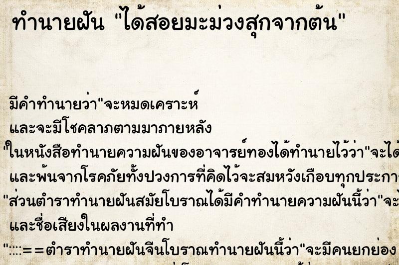 ทำนายฝัน ได้สอยมะม่วงสุกจากต้น ตำราโบราณ แม่นที่สุดในโลก