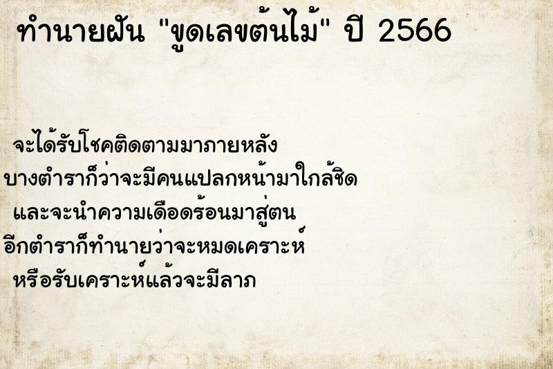 ทำนายฝันขูดเลขต้นไม้ ทำนายฝันทำนายฝันขูดเลขต้นไม้
