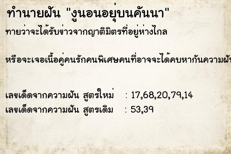 ทำนายฝันทำนายฝันงูนอนอยุ่บนคันนา