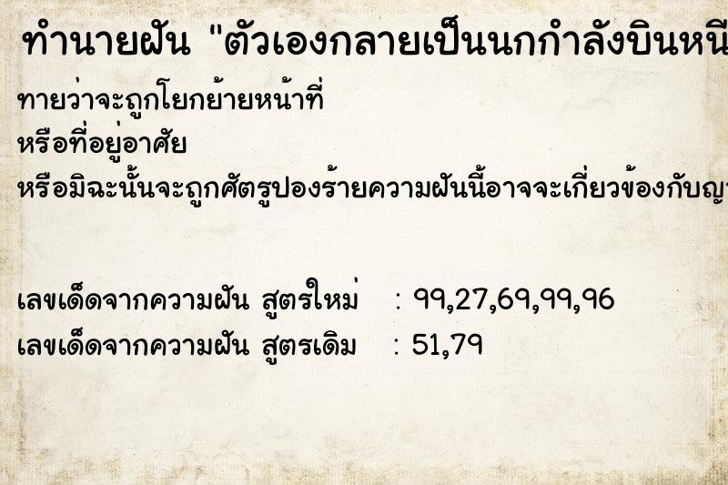 ทำนายฝันทำนายฝันตัวเองกลายเป็นนกกำลังบินหนี