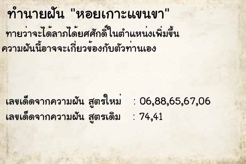 ทำนายฝัน หอยเกาะแขนขา ทำนายฝัน หอยเกาะแขนขา