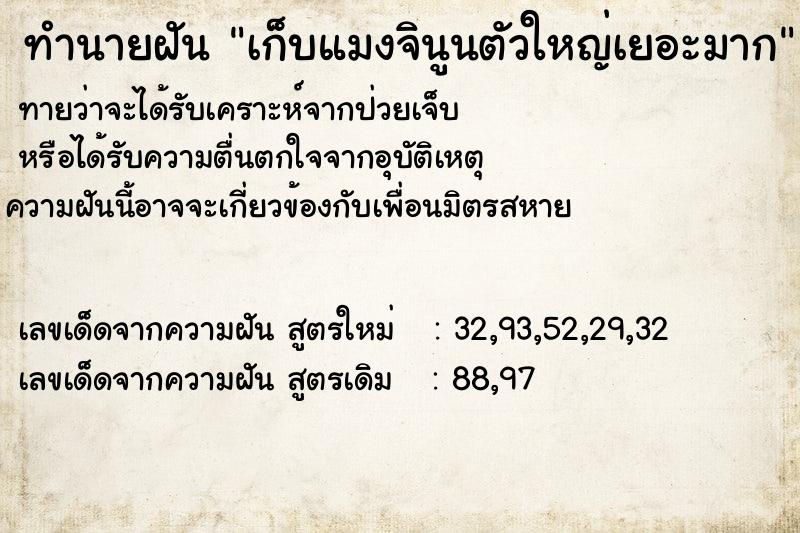 ทำนายฝันเก็บแมงจินูนตัวใหญ่เยอะมาก ทำนายฝันทำนายฝันเก็บแมงจินูนตัวใหญ่เยอะมาก