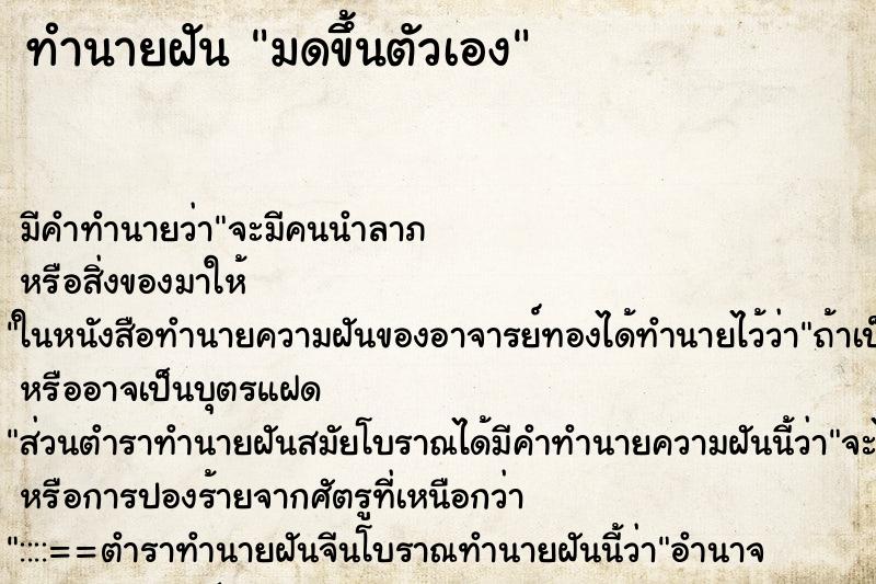 ทำนายฝัน มดขึ้นตัวเอง ทำนายฝัน มดขึ้นตัวเอง