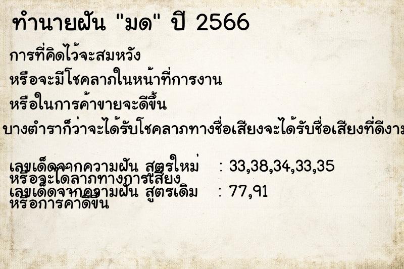 ทำนายฝัน มด ตำราโบราณ แม่นที่สุดในโลก