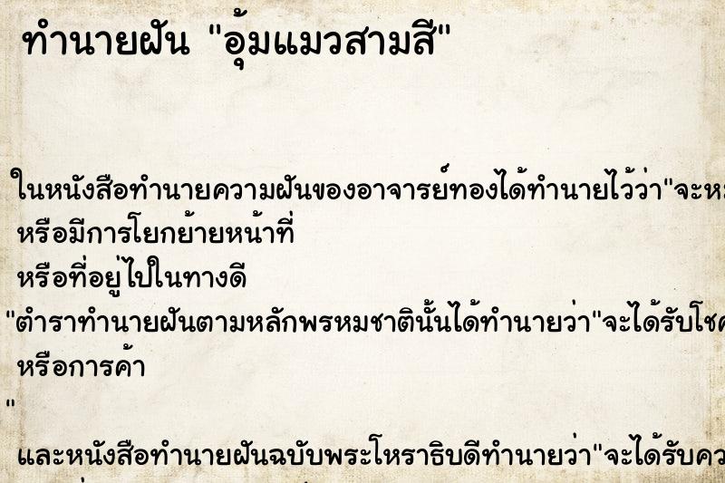 ทำนายฝัน อุ้มแมวสามสีแม่นๆ ฟรี ด้วยตำราหนังสือทำนายฝันโบราณ ทำนายฝันอุ้มแมวสามสี
