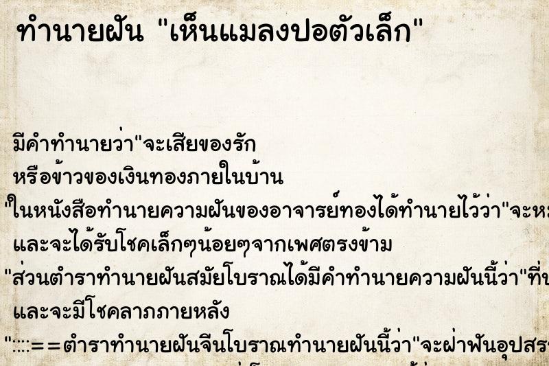 ทำนายฝันทำนายฝันเห็นแมลงปอตัวเล็ก
