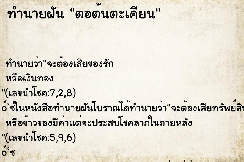 ทำนายฝัน ตอต้นตะเคียน ทำนายฝัน ตอต้นตะเคียน