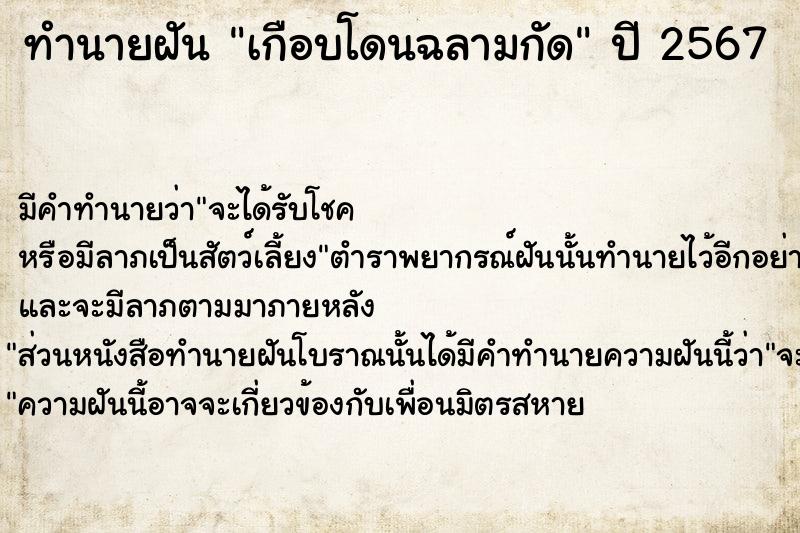 ทำนายฝัน เกือบโดนฉลามกัด ตำราโบราณ แม่นที่สุดในโลก