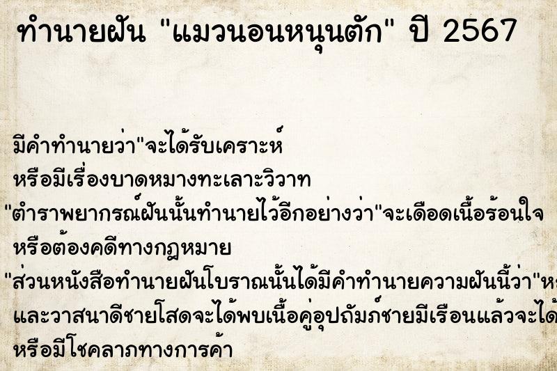 ทำนายฝัน แมวนอนหนุนตัก ทำนายฝัน แมวนอนหนุนตัก