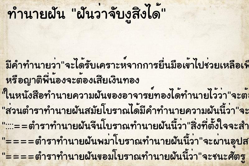 ทำนายฝัน ฝันว่าจับงูสิงได้ ทำนายฝัน ฝันว่าจับงูสิงได้