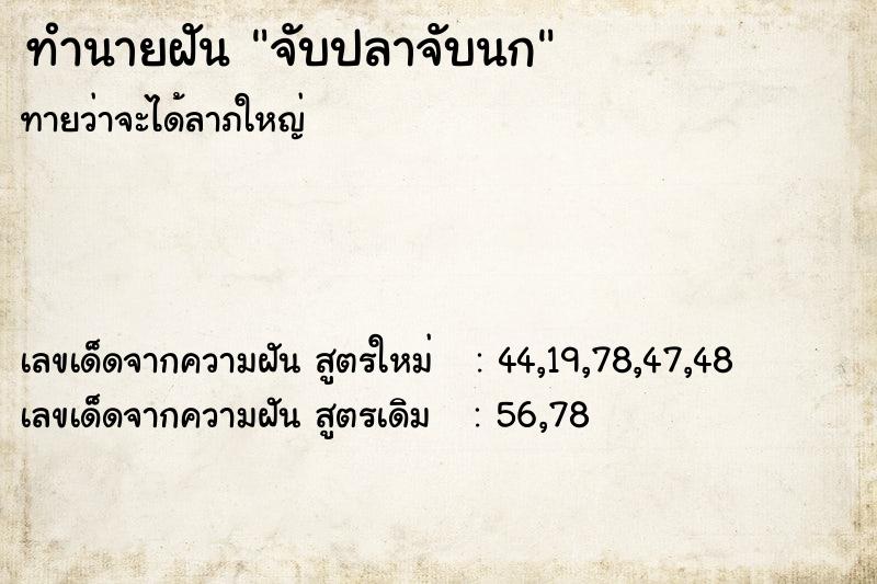 ทำนายฝัน จับปลาจับนก ทำนายฝัน จับปลาจับนก