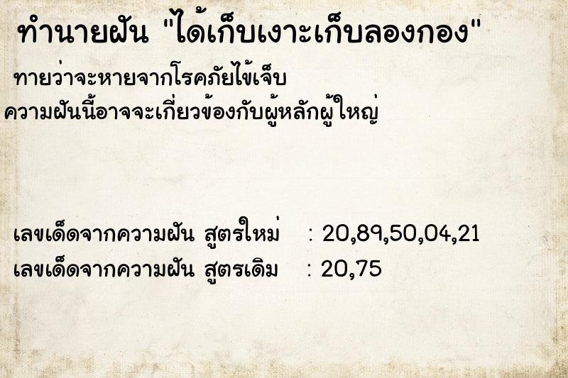 ทำนายฝันได้เก็บเงาะเก็บลองกอง ทำนายฝันทำนายฝันได้เก็บเงาะเก็บลองกอง