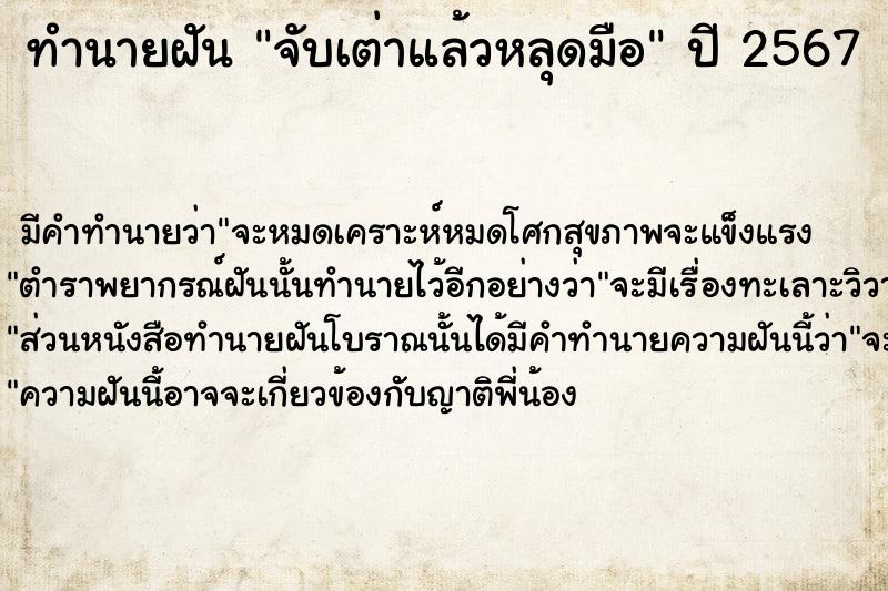 ทำนายฝันจับเต่าแล้วหลุดมือ ทำนายฝันทำนายฝันจับเต่าแล้วหลุดมือ