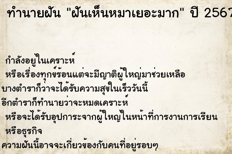 ทำนายฝันฝันเห็นหมาเยอะมาก ทำนายฝันทำนายฝันฝันเห็นหมาเยอะมาก