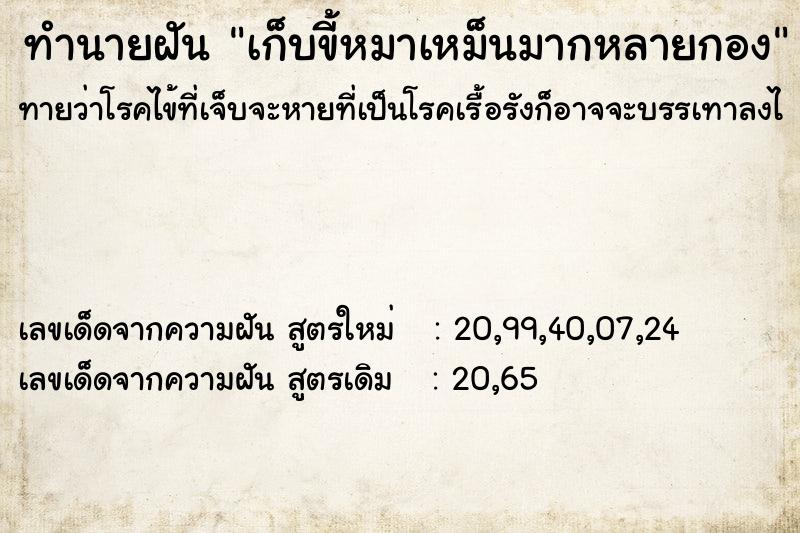 ทำนายฝัน เก็บขี้หมาเหม็นมากหลายกอง