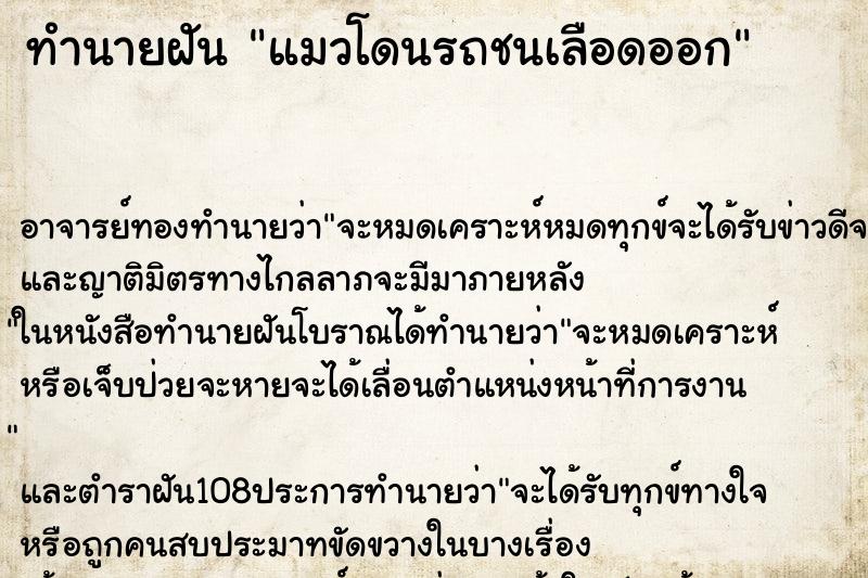 ทำนายฝัน แมวโดนรถชนเลือดออก ทำนายฝัน แมวโดนรถชนเลือดออก