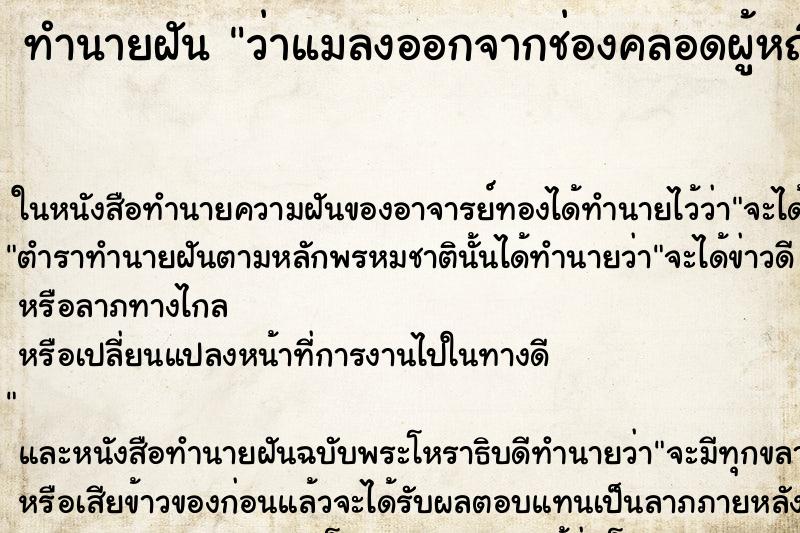 ทำนายฝัน ว่าแมลงออกจากช่องคลอดผู้หญิง ทำนายฝัน ว่าแมลงออกจากช่องคลอดผู้หญิง
