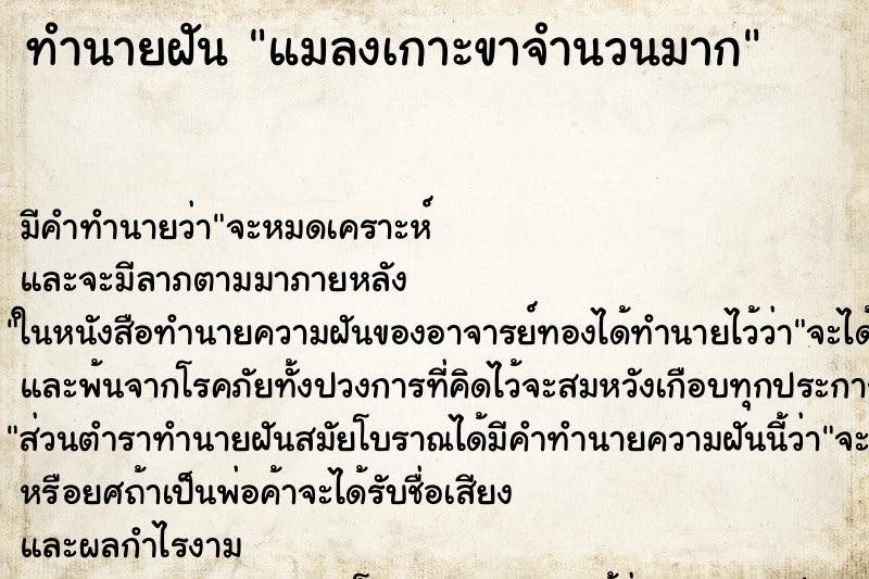 ทำนายฝัน แมลงเกาะขาจำนวนมาก ทำนายฝัน แมลงเกาะขาจำนวนมาก