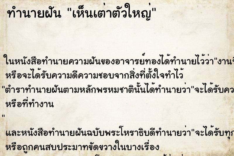 ทำนายฝันเห็นเต่าตัวใหญ่ ทำนายฝันทำนายฝันเห็นเต่าตัวใหญ่