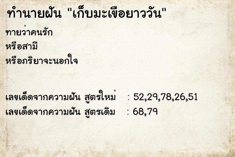 ทำนายฝันเก็บมะเขือยาววัน ทำนายฝันทำนายฝันเก็บมะเขือยาววัน