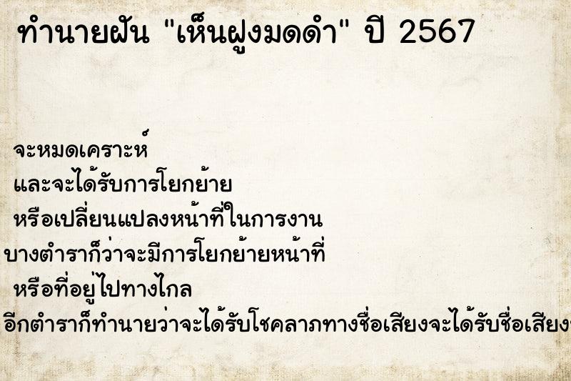 ทำนายฝันทำนายฝันเห็นฝูงมดดำ