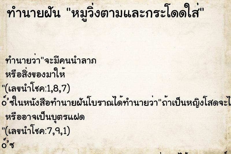 ทำนายฝันหมูวิ่งตามและกระโดดใส่ ทำนายฝันทำนายฝันหมูวิ่งตามและกระโดดใส่