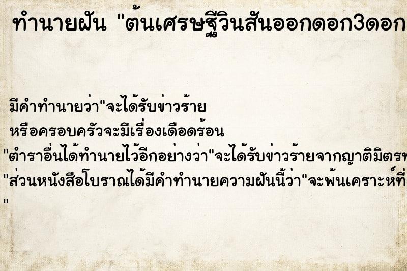 ทำนายฝัน ต้นเศรษฐีวินสันออกดอก3ดอก ตำราโบราณ แม่นที่สุดในโลก