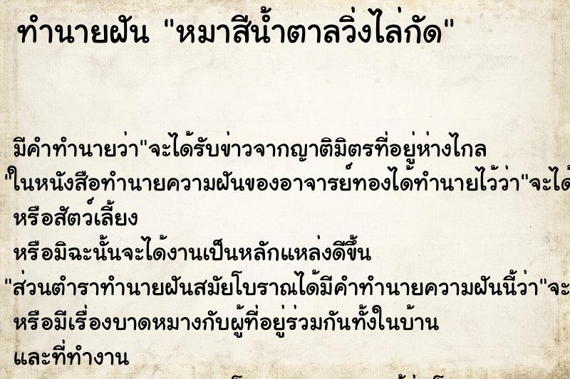 ทำนายฝันทำนายฝันหมาสีน้ำตาลวิ่งไล่กัด