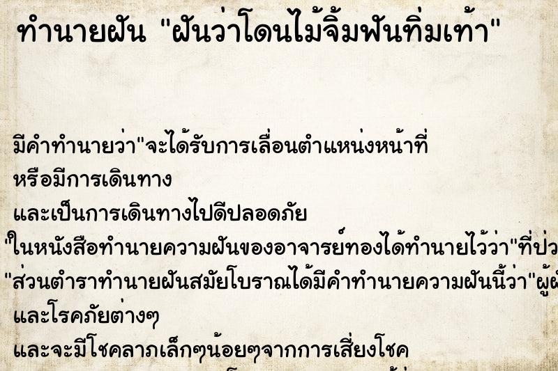 ทำนายฝัน ฝันว่าโดนไม้จิ้มฟันทิ่มเท้า ทำนายฝัน ฝันว่าโดนไม้จิ้มฟันทิ่มเท้า