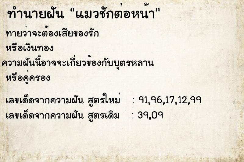 ทำนายฝัน แมวชักต่อหน้า ทำนายฝัน แมวชักต่อหน้า