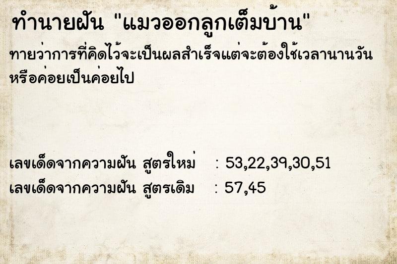 ทำนายฝัน แมวออกลูกเต็มบ้าน